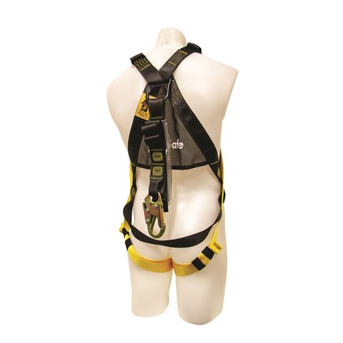 B-Safe All Purpose Fall Arrest Harness with 2m Web Lanyard