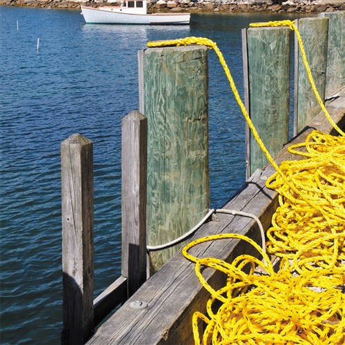 Beaver Polypropylene Film Rope